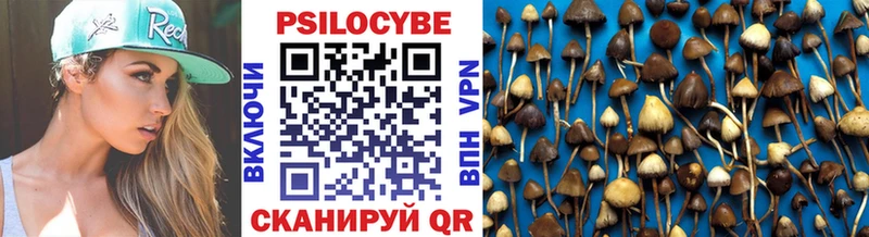 Галлюциногенные грибы мицелий  купить наркоту  Багратионовск 